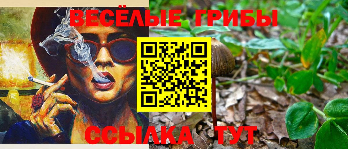 Псилоцибиновые грибы ЛСД  Галлюциногенные грибы прущие грибы  Вход с VPN  Наро-Фоминск 