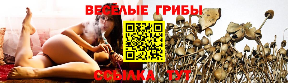 Псилоцибиновые грибы Psilocybine cubensis Наро-Фоминск